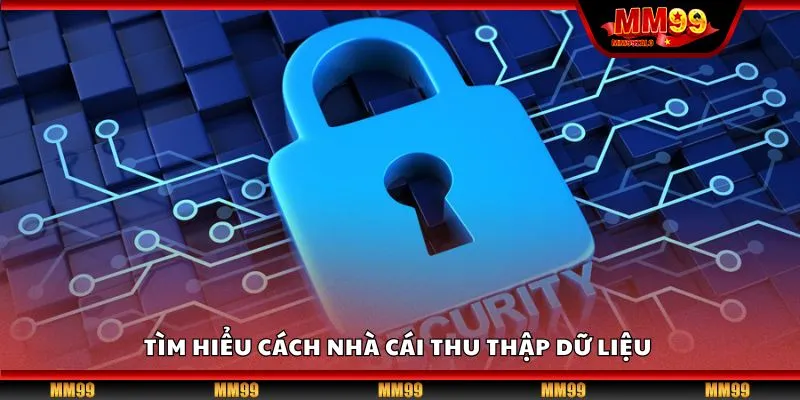 Tìm hiểu cách nhà cái thu thập dữ liệu